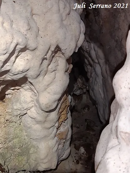 Fotografia de SERRA DEL MAS, COVA SM-18 DE LA (5 de 6)