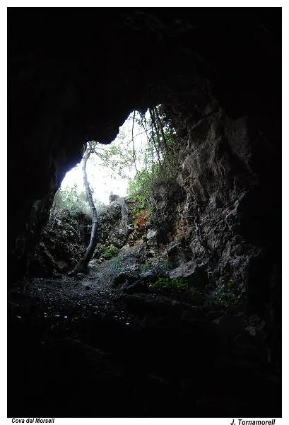 Fotografia de MORSELL, COVA DEL (2 de 4)