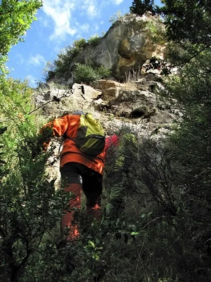 Photographie de TORRENT DE FONTFREDA, TÚNEL DEL (1 sur 5)