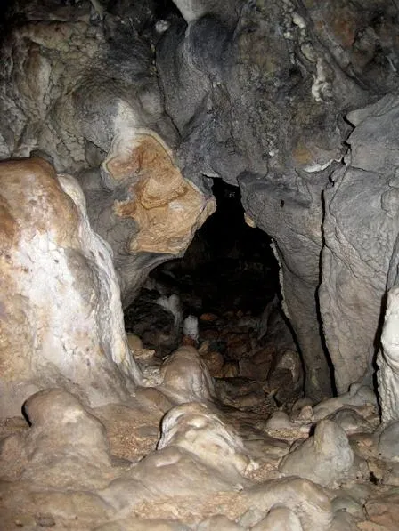 Photographie de MOLINOT, COVA DEL (3 sur 3)