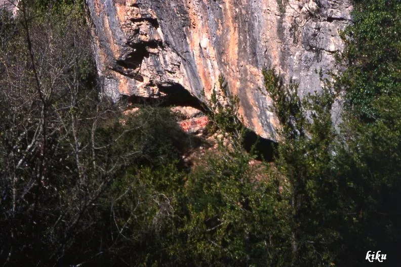 Fotografia de MANDRIL, COVA DEL (1 de 2)