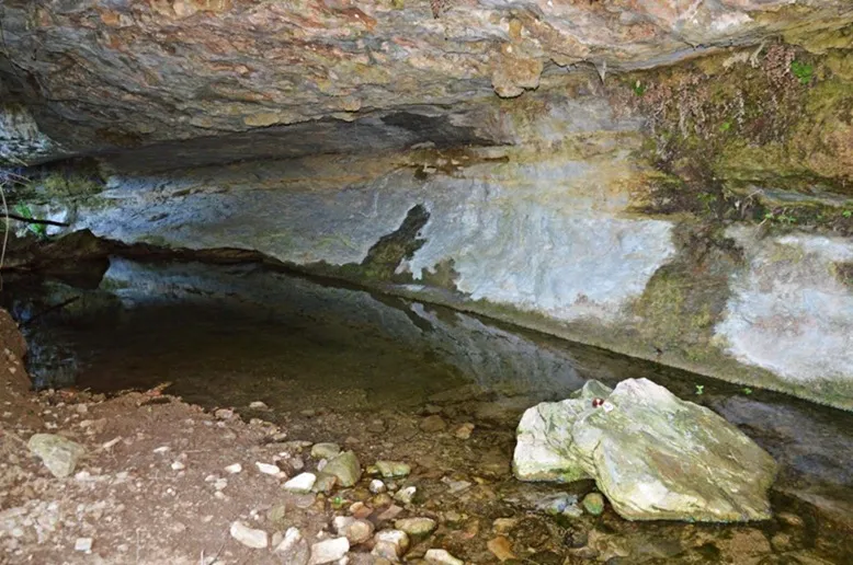 Photographie de MOLÍ VELL, BALMA DEL (2 sur 4)