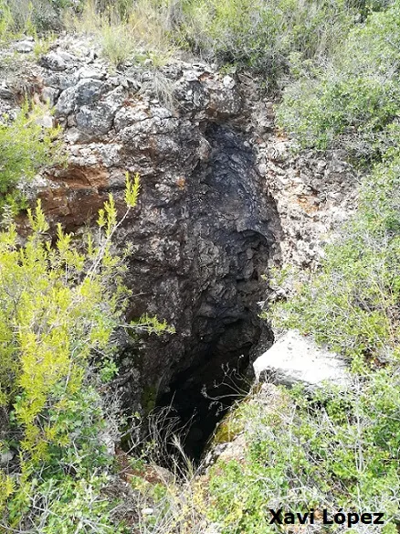Fotografia de BOSC DEL MOLÍ DE CALÇ, AVENC DEL (2 de 2)