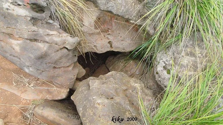 Photograph of LLAMBRICS, AVENC DELS (1 of 2)