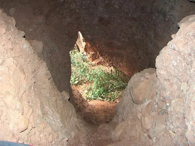 Fotografia de OEST DEL MONTCAU, COVA (2 de 2)