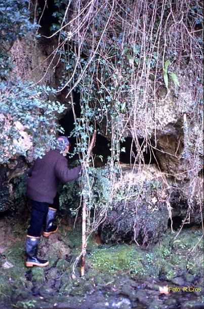 Photographie de PONT NOU, BALMA DEL (1 sur 4)