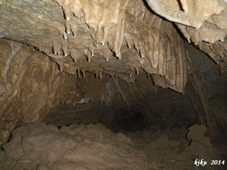 Photograph of FAR, COVA DEL (8 of 9)