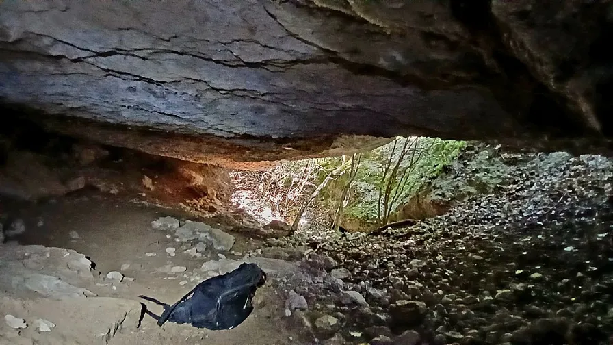 Photograph of TRONASSETA, LA (4 of 4)