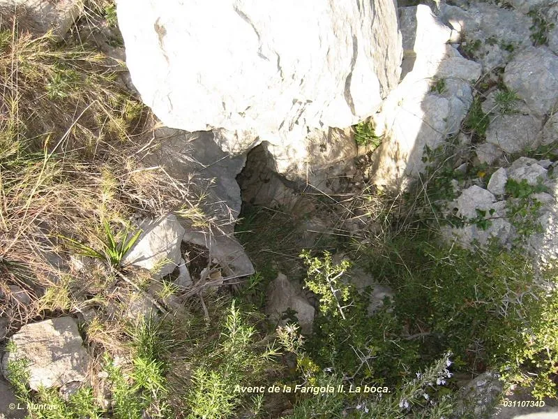 Fotografía de FARIGOLA II, AVENC DE LA (1 de 1)