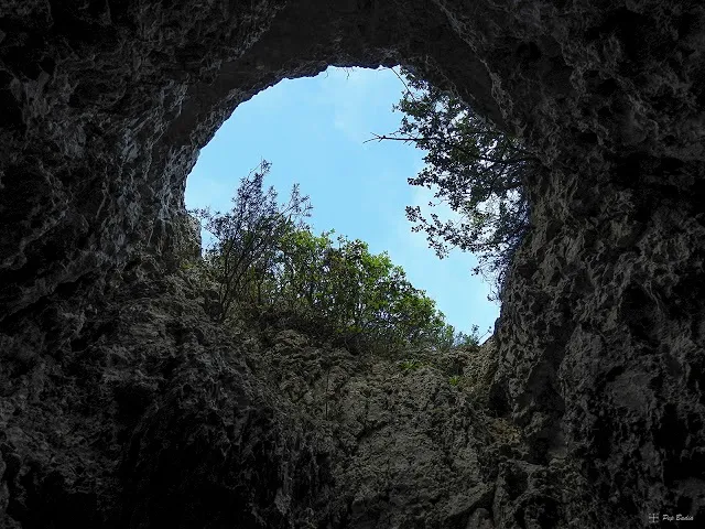 Fotografía de PORTELL, COVA DEL (3 de 3)