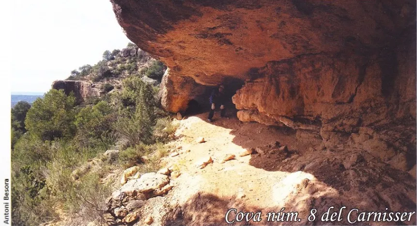 Fotografia de CARNISSER, COVES DEL  (9 de 9)