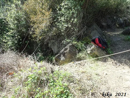 Photograph of TERRATRÈMOL, FORATS DEL (2 of 6)