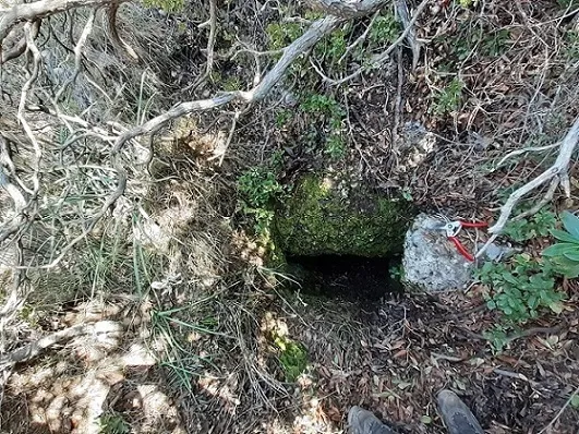 Fotografia de ARBOÇAR, AVENC DE L' (1 de 1)