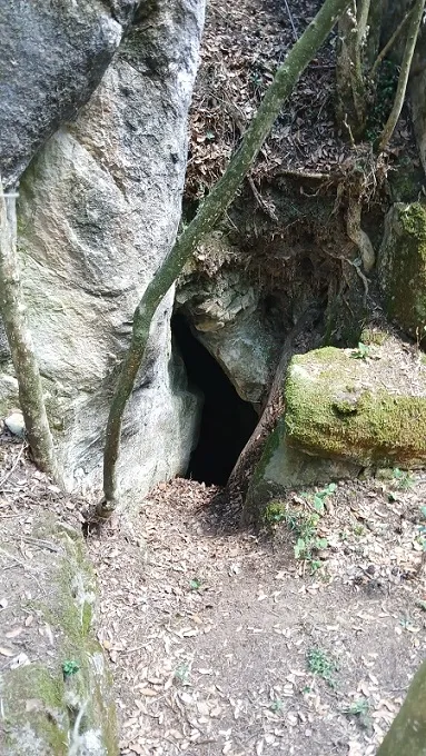 Photograph of CASTELL DE BOIXADER, FORAT DEL (1 of 6)