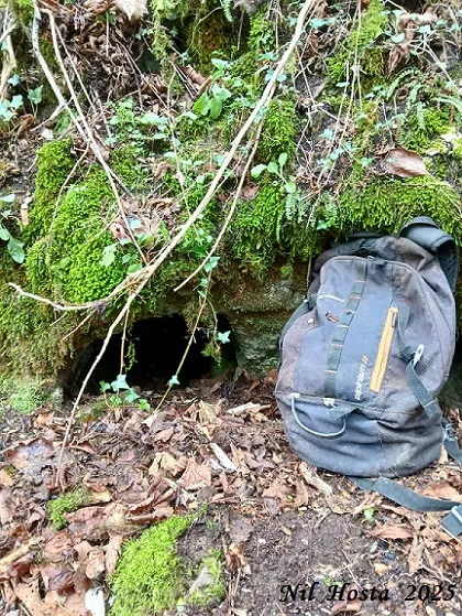 Fotografia de MEANDRE, COVA DEL  (1 de 6)