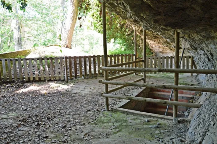 Photograph of RENTADOR DE LA LLANA DEL ROQUER, BALMA DEL (5 of 6)