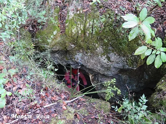Fotografia de ARBRE, AVENC DE L' (5 de 7)