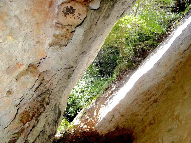 Photographie de FONT FREDA, COVA GRAN DE LA (1 sur 1)