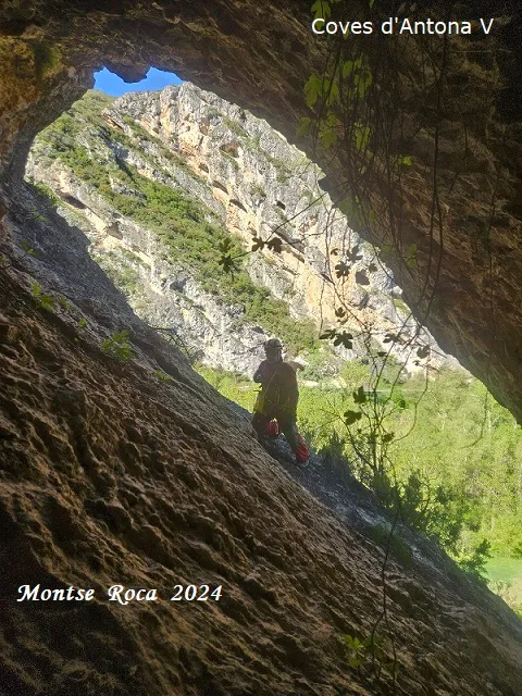 Fotografia de ANTONA, COVES D' (16 de 17)