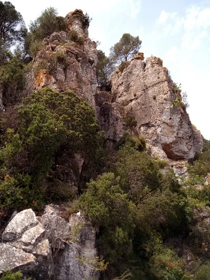 Fotografía de PICOSSA, AVENC DE LA (2 de 9)
