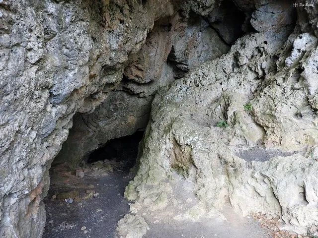 Fotografía de PORTELL, COVA DEL (2 de 3)