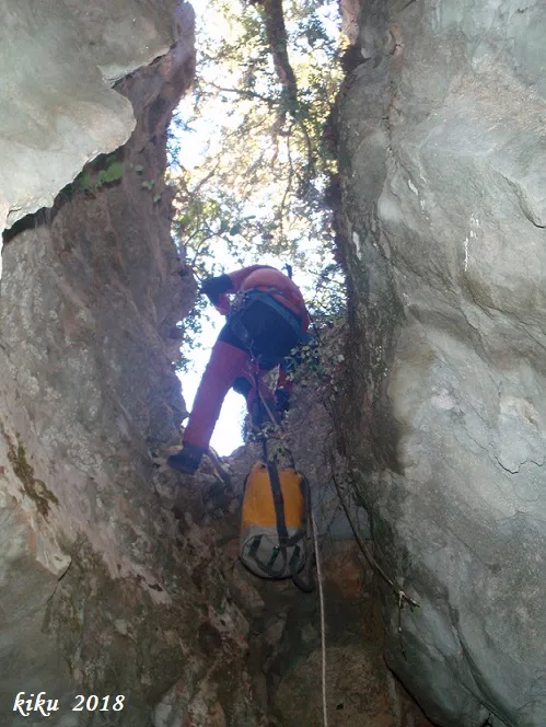 Photographie de PARDINA, GRALLER Nº1 DE LA (5 sur 5)
