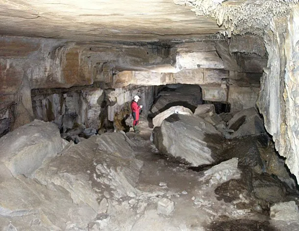 Photograph of TEIXIDORS, BORA DELS (7 of 8)