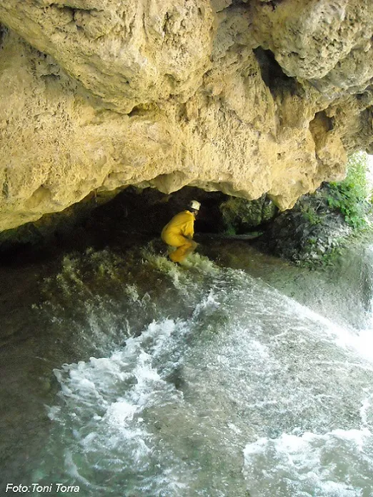 Photographie de PONT NOU, BALMA DEL (2 sur 4)
