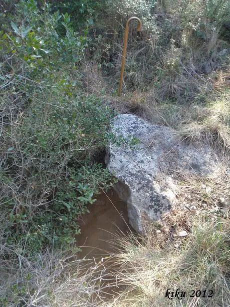 Fotografia de GOSSOS, AVENC DELS (3 de 3)