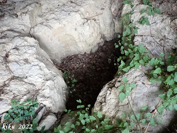Photographie de GRIMP, AVENC DEL (3 sur 4)