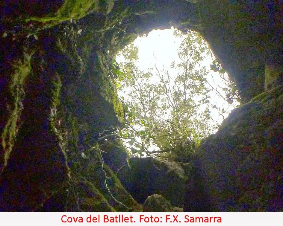 Photographie de BATLLET, COVA DEL (2 sur 2)