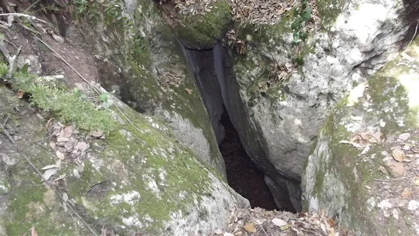 Fotografia de DESPISTATS, FORAT DELS (1 de 3)
