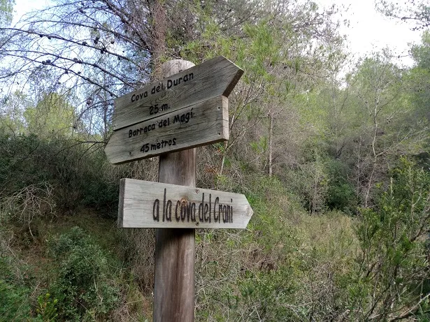 Photograph of DURAN, COVA D'EN (1 of 5)