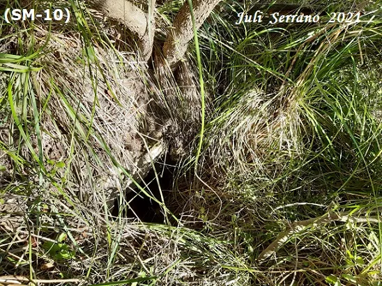 Fotografía de MAS DE LES FONTS, ESQUERDA Nº 3 DEL (12 de 18)