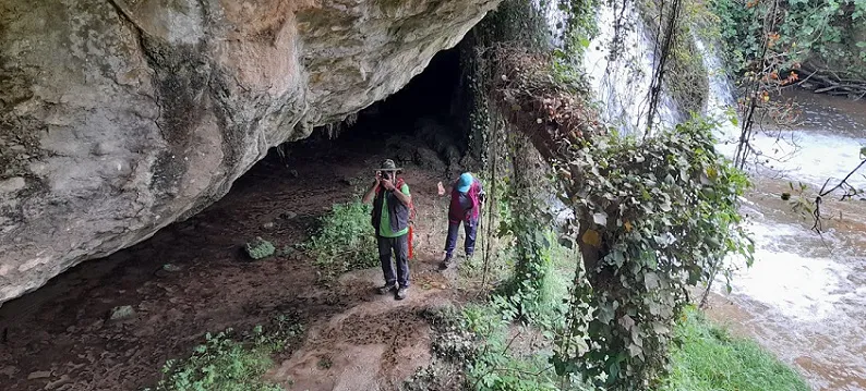 Fotografia de SALTANT, COVA DEL (3 de 6)