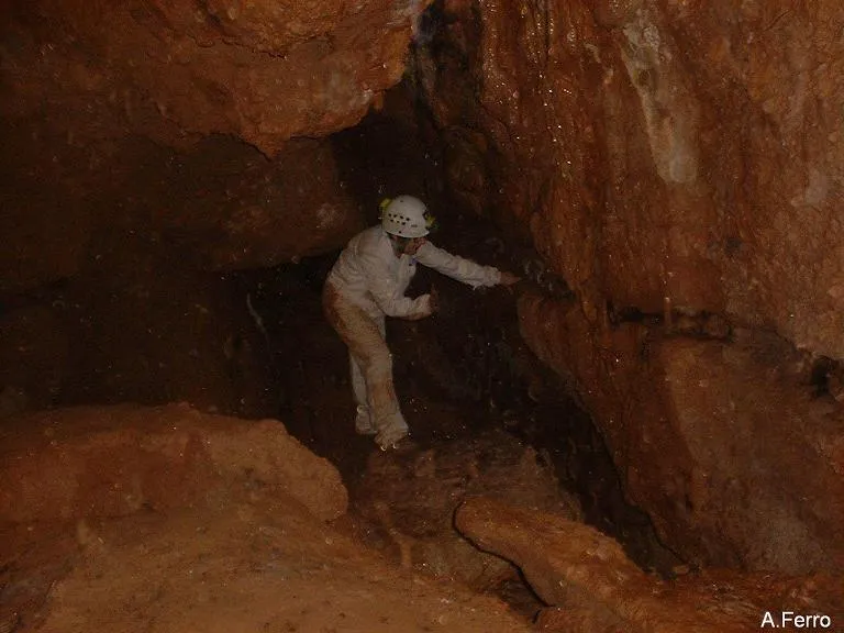 Fotografía de TOIXONS, COVA DELS (5 de 8)