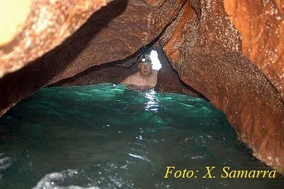 Fotografia de ARGONAUTA, COVA DE L' (2 de 2)