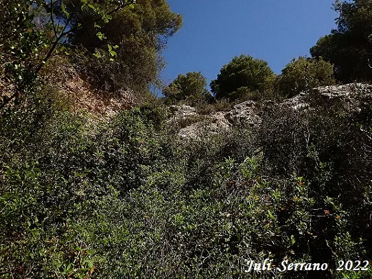Fotografía de TÚNEL, FORAT DEL (5 de 6)