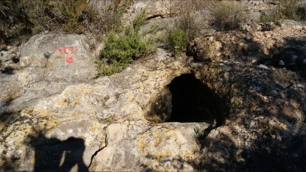 Photograph of GARROFER, COVA DEL (1 of 5)