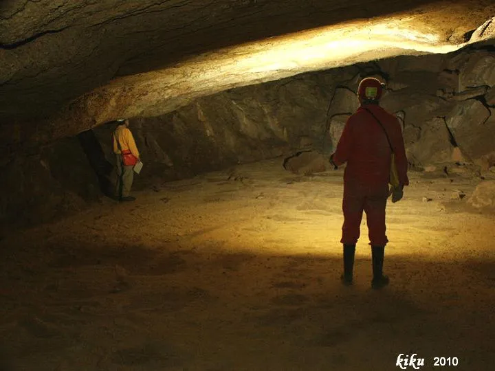Fotografía de SANT JAUME, BÒFIA DE (7 de 18)