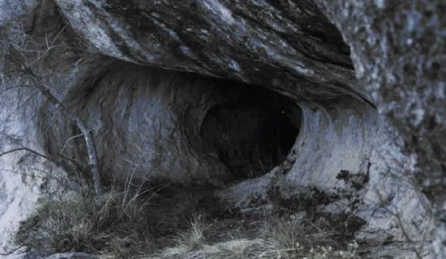 Fotografia de OSSOS, COVA DELS (2 de 2)