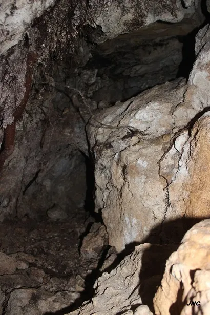 Fotografia de ENRASSADA, COVETA (3 de 3)
