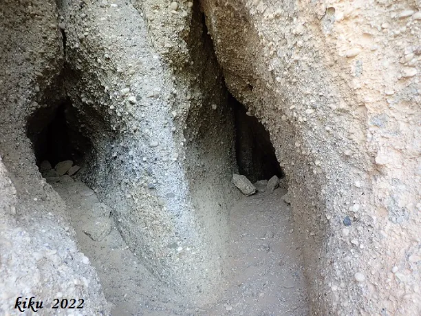 Fotografia de COLUMNA, COVA DE LA (2 de 8)