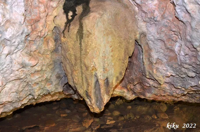 Photograph of BISBE, COVA DEL (5 of 7)