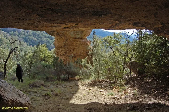 Photographie de CIGALOT DEL CORB, BALMA DEL (5 sur 6)