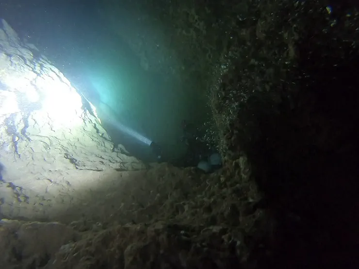 Fotografia de FINESTRA DEL ROMANÍ, COVA DE LA (1 de 4)