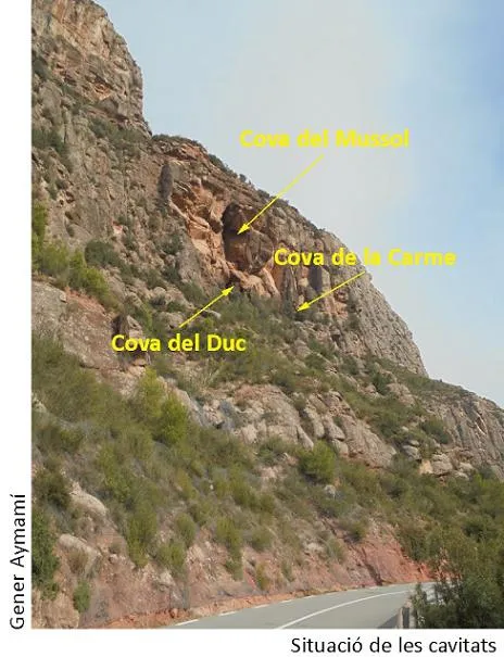 Photograph of DUCS, COVA DELS (1 of 3)