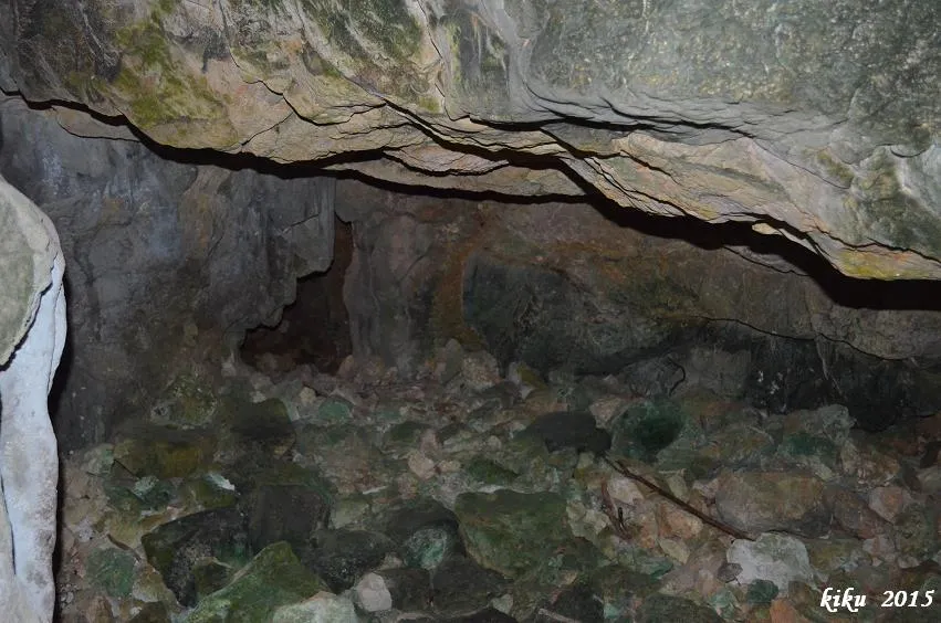 Fotografía de PUIG FRANCÀS, AVENC DE (4 de 7)