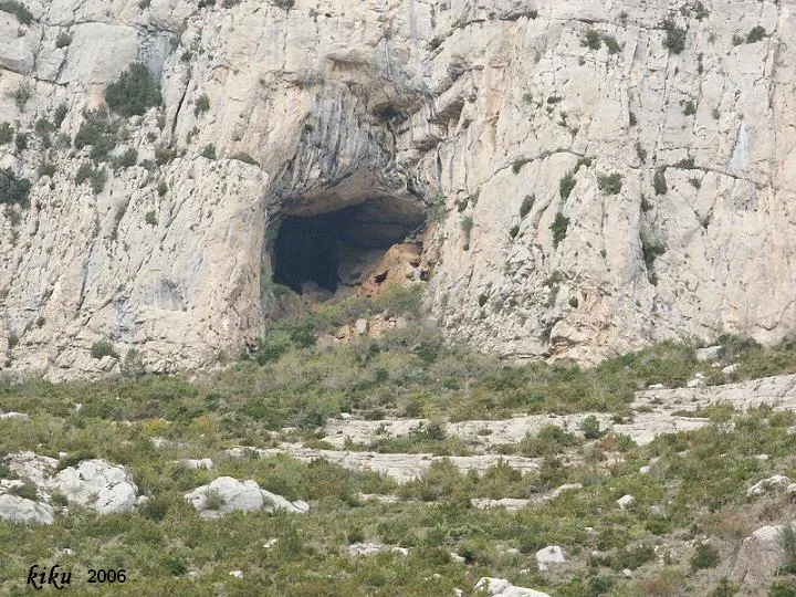 Photographie de NEGRE DE BÓIXOLS, FORAT (2 sur 6)