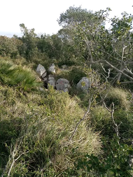 Fotografia de BLUGH'S, AVENC D'EN (1 de 3)
